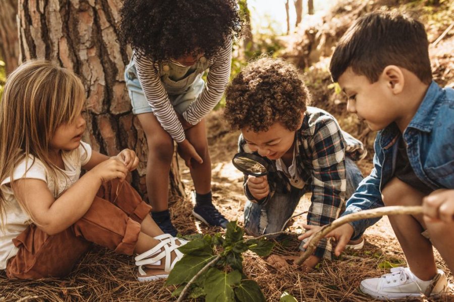 The Transformative Power of Reading for Children