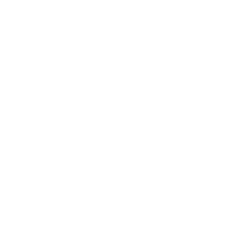 feature-item-1
