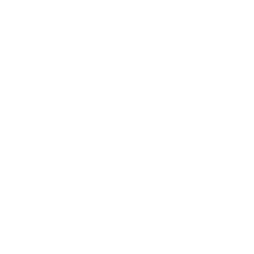 feature-item-3